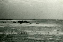 B6296