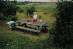 B6305_anno_1995_IngeC