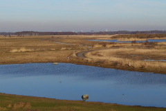B6305_anno_2019_IMG_20190216_1200x