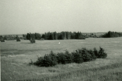 B6309