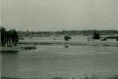 B6310