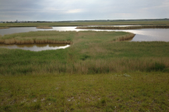 IMG_20190610_073844_1400x